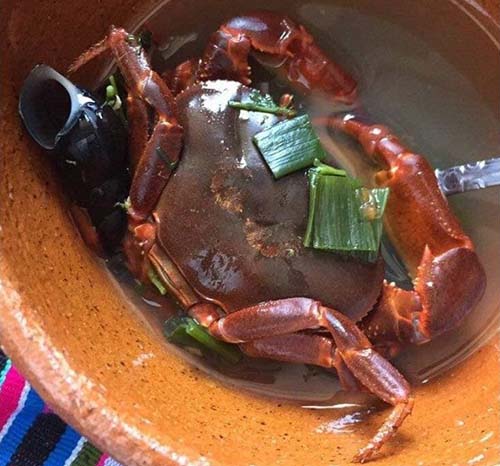 Let's have a good broth of crabs