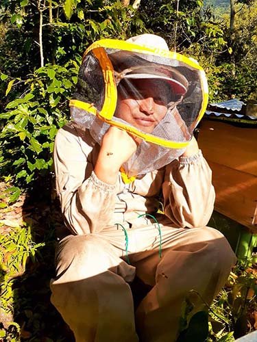 Beekeeper Bees Maya, San Juan La Laguna