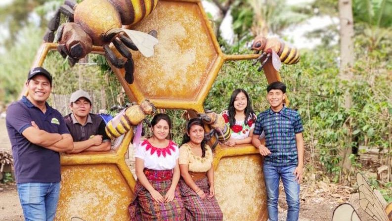 Mundo de Abejas Mayas